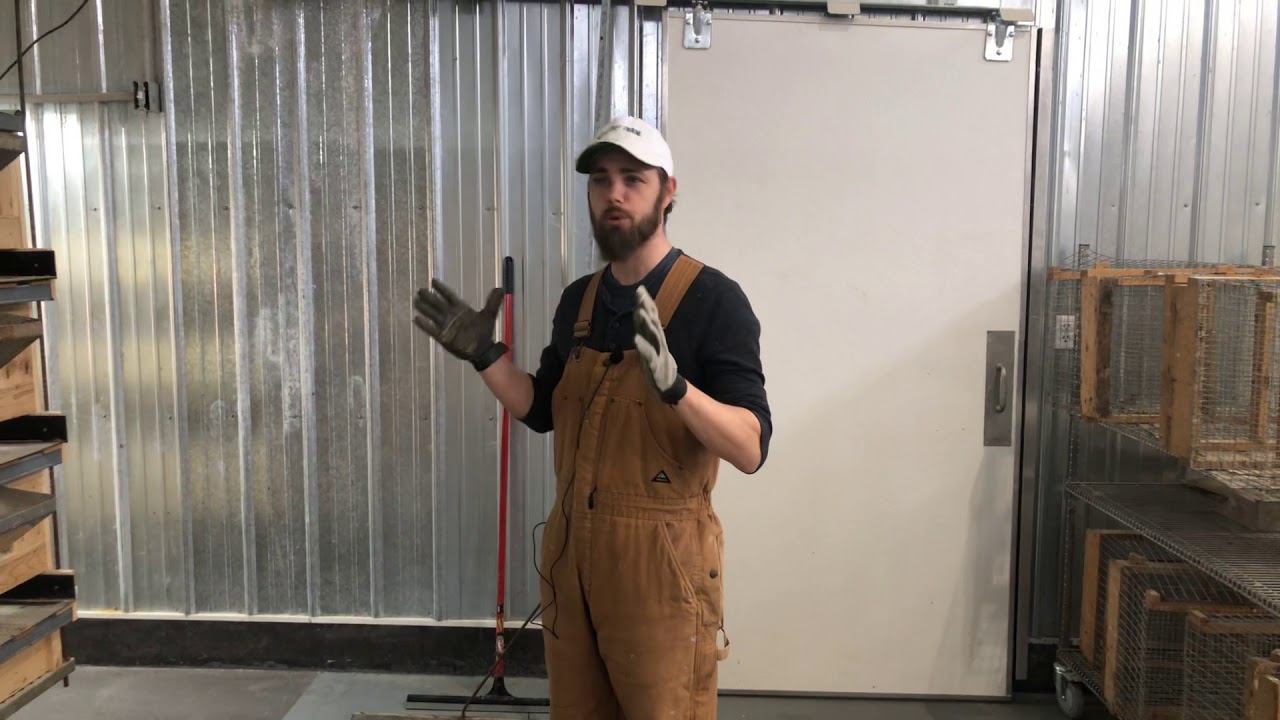 OUR NEW QUAIL POOP SYSTEM AT MYSHIRE FARM 3/26/2020