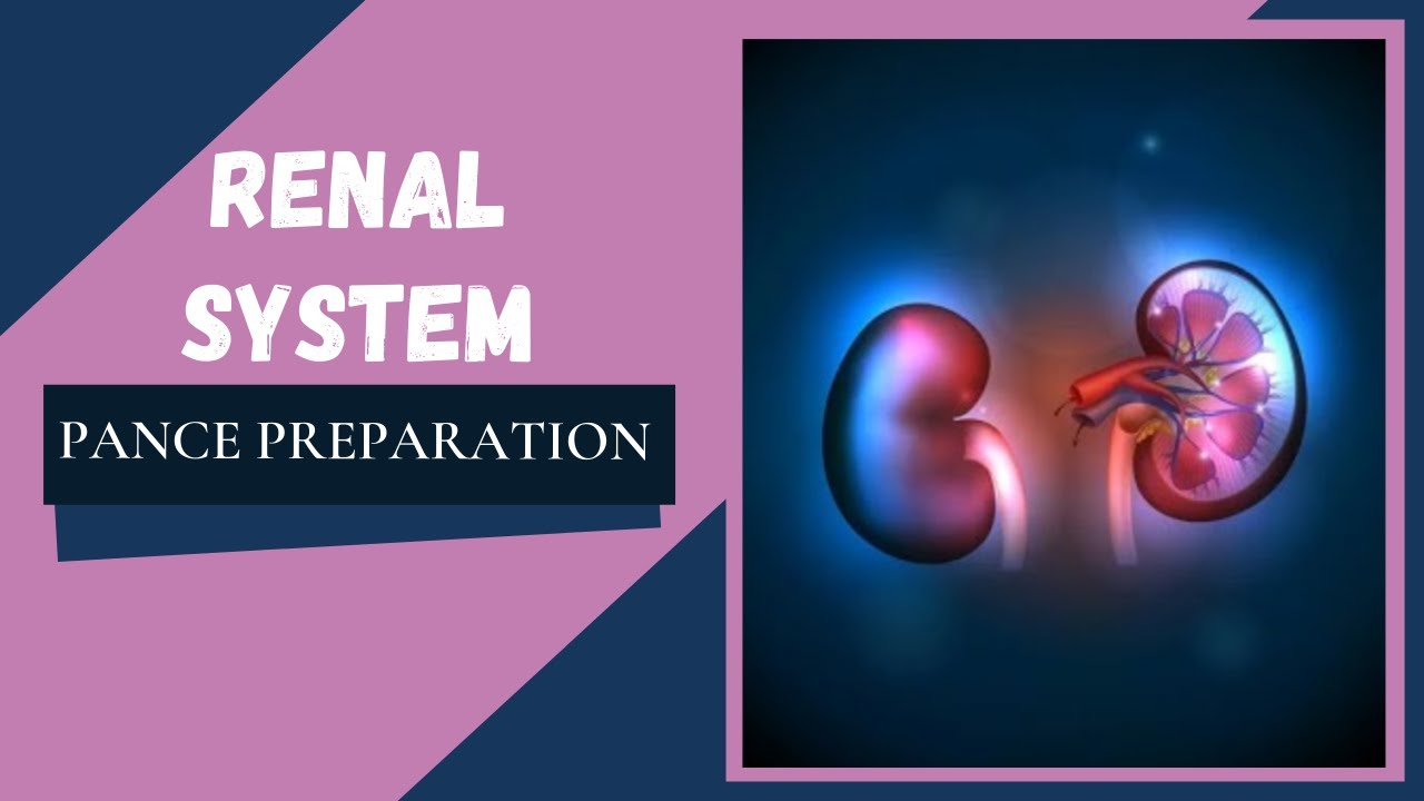 Renal System: PANCE Preparation