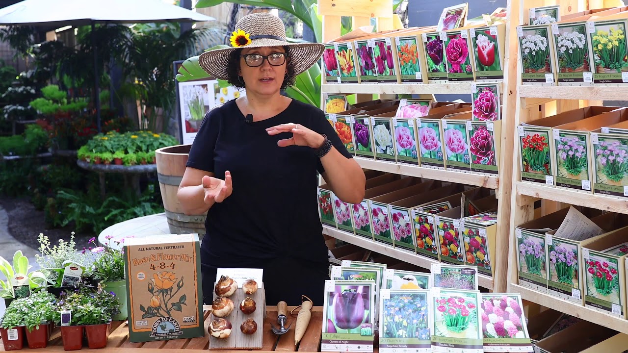 Fall Planted Bulbs for Southern California Gardens with Sarah Smith