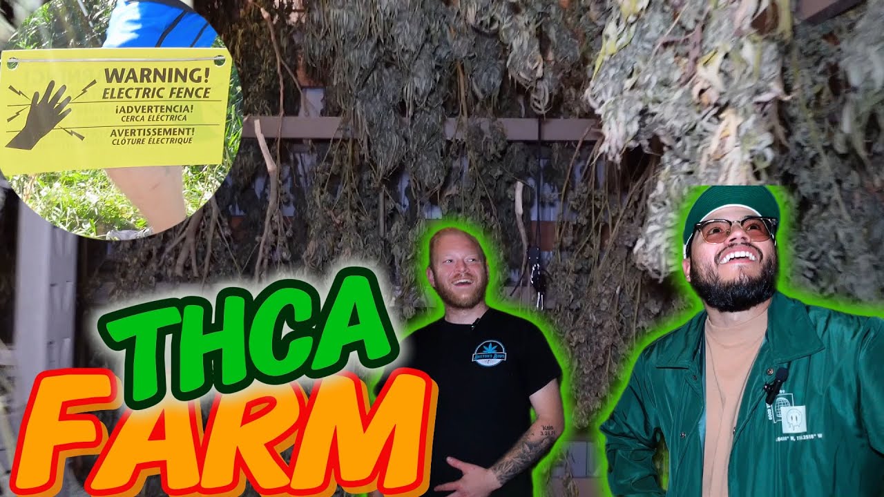 CVP VLOG - BOSTON&rsquo;S BUDS FARM‼️