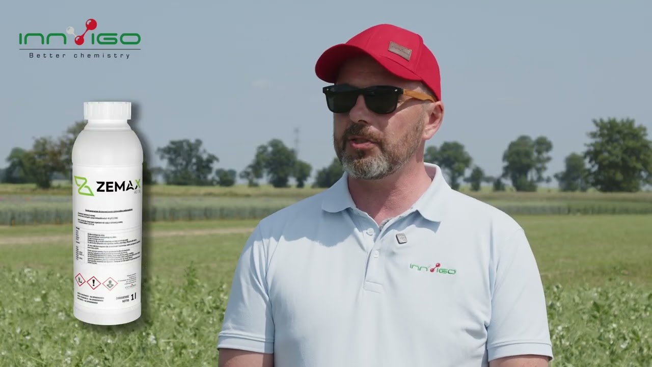Zemax 40 SL do zwalczania chwast&oacute;w w grochu