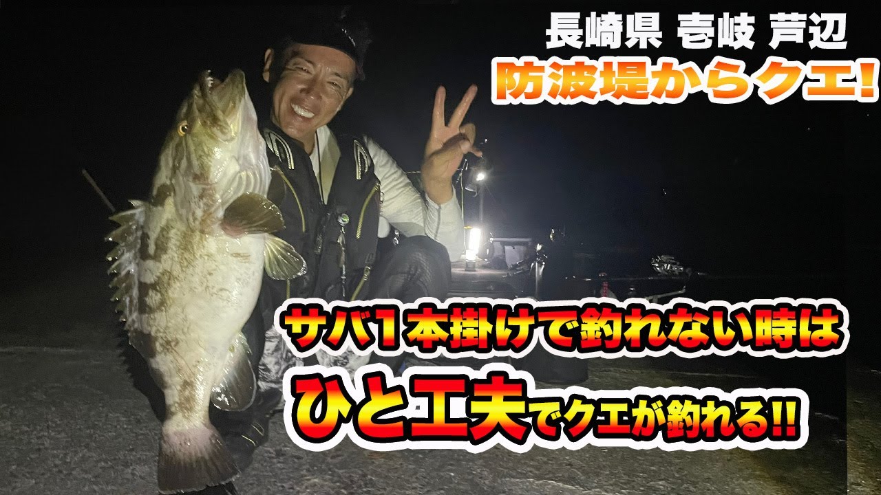 【クエ・石鯛釣り】堤防からクエ❕ひと工夫でクエが釣れる❕爺さん熟睡中に竿舞い込む❕#クエ #釣り #アラ釣り #底物