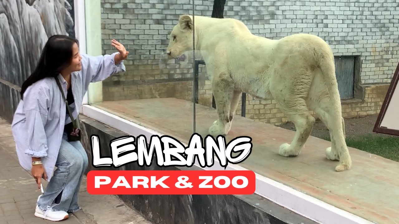 Areanya luas, Makanannya Enak, Cocok bawa Keluarga kesini sekalian Edutainment.