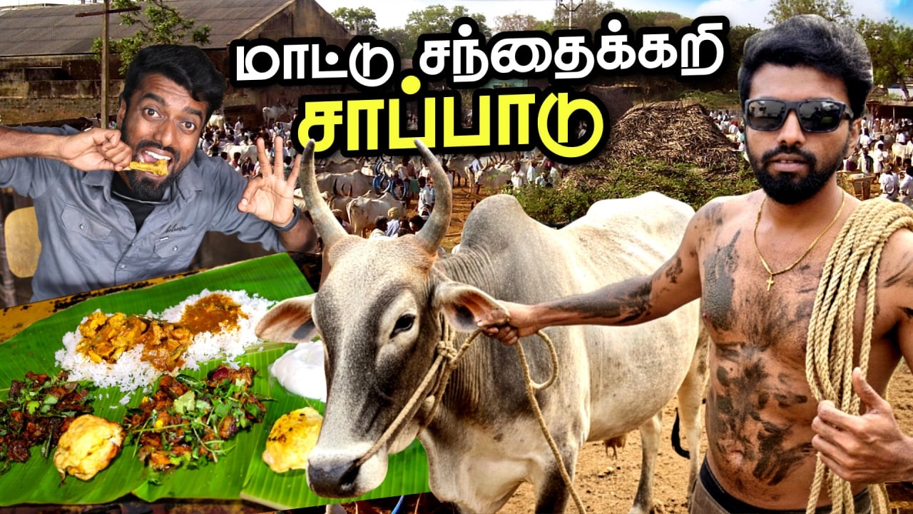 ஈரோடு SANDHAI KARI சாப்பாடு 😋 | DAN JR VLOGS