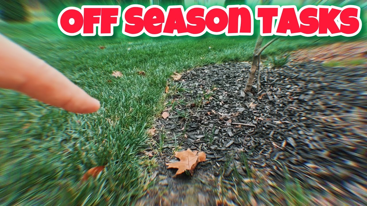 Did You Winterize Your Lawn?