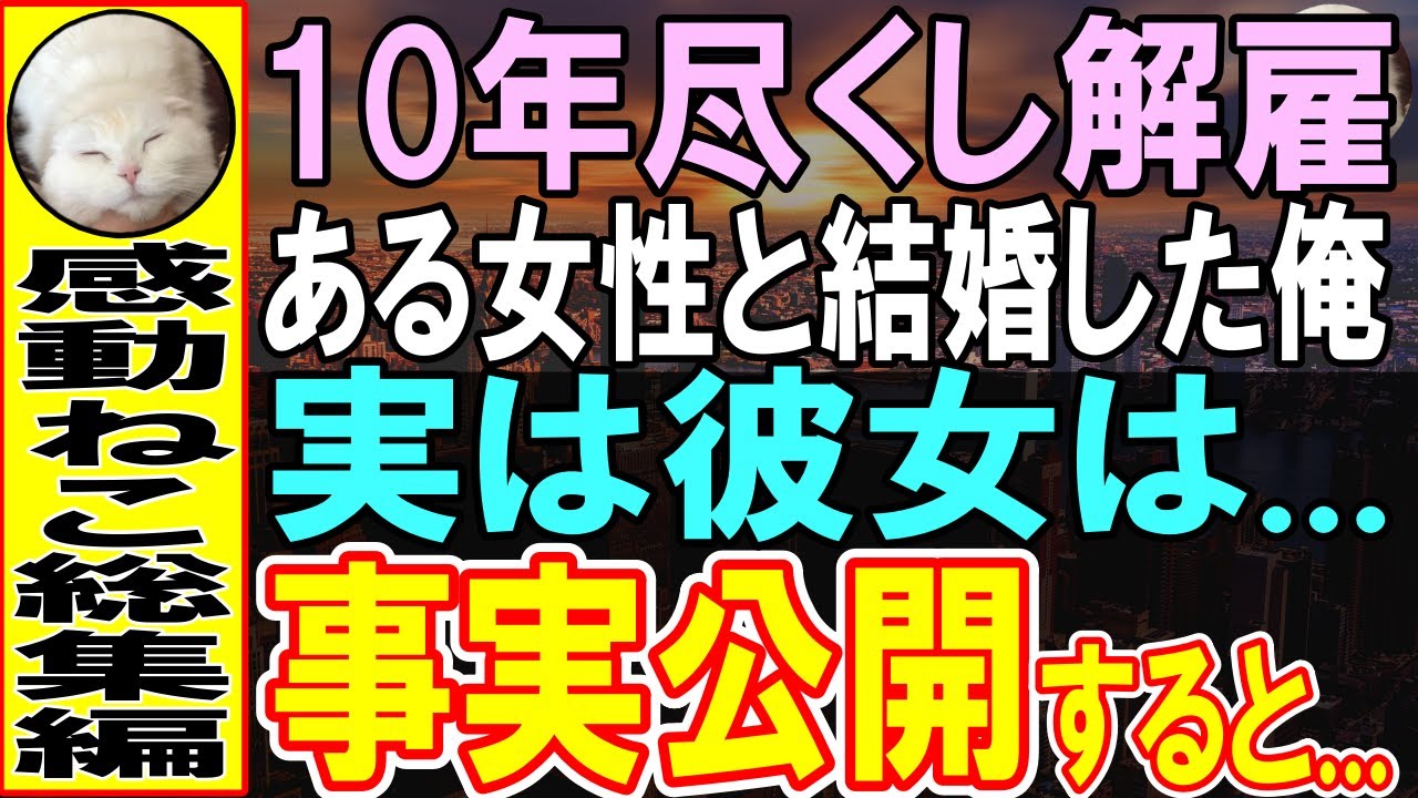 【感動する話★総集編】10年間会社のために尽くした俺を解雇する高学歴課長「高卒w」俺がある令嬢と結婚することになり、ある真実を知らせると...課長「え？」【いい話】【朗読】