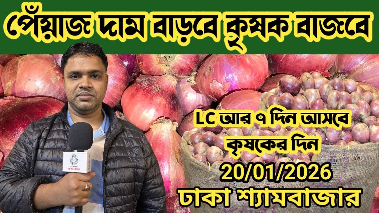 ২০/০১/২০২৬; চরম বাড়বে পেঁয়াজের বাজার |ঢাকা শ্যামবাজার |onion wholesale market price