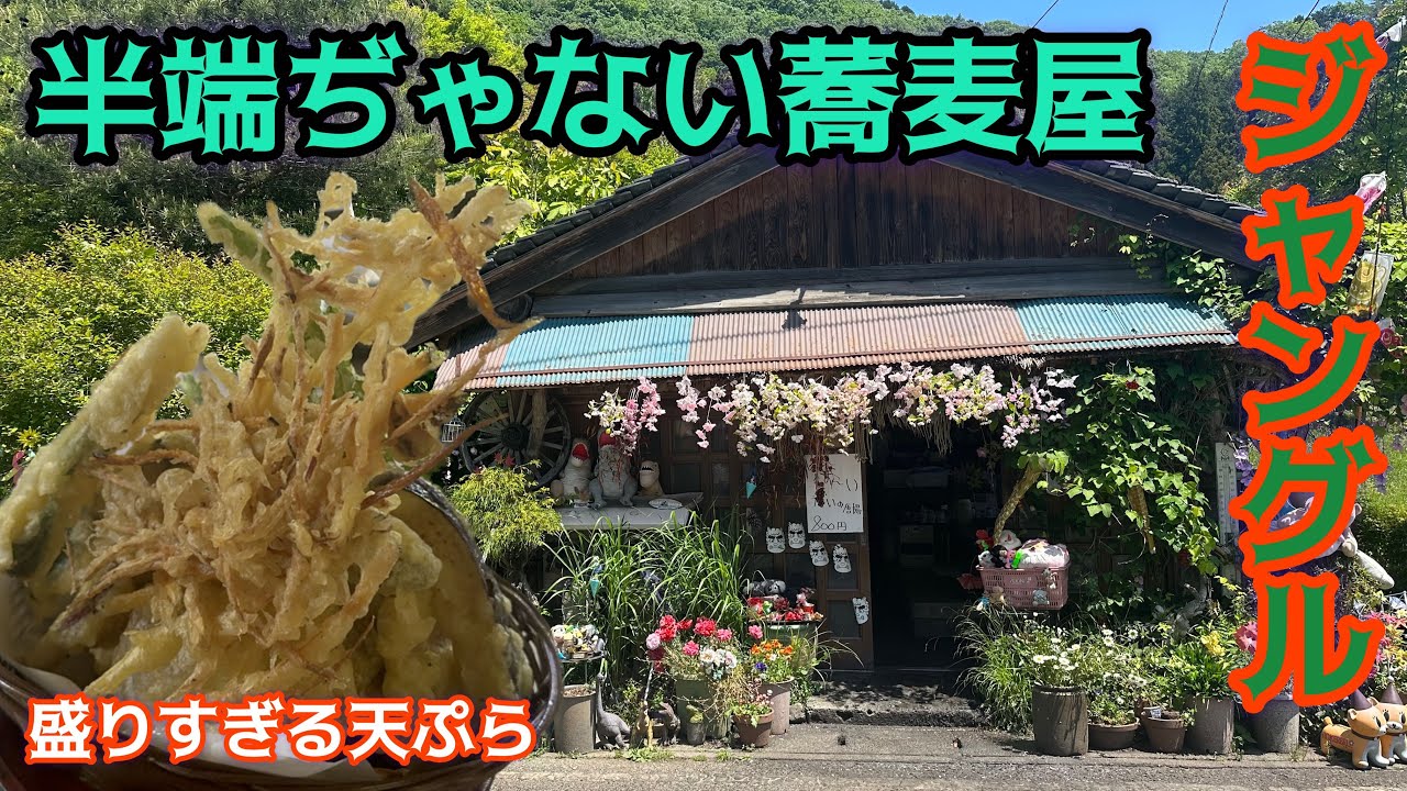 【鹿沼市】たろっぺ茶屋💚外観から店内全てがジャングル🤣緑を眺めながら食べる蕎麦と800で山盛りの野菜天ぷらには圧巻😊👍天気が悪い日は室内も可能😉☝️コスパ最高な蕎麦屋さん🥺