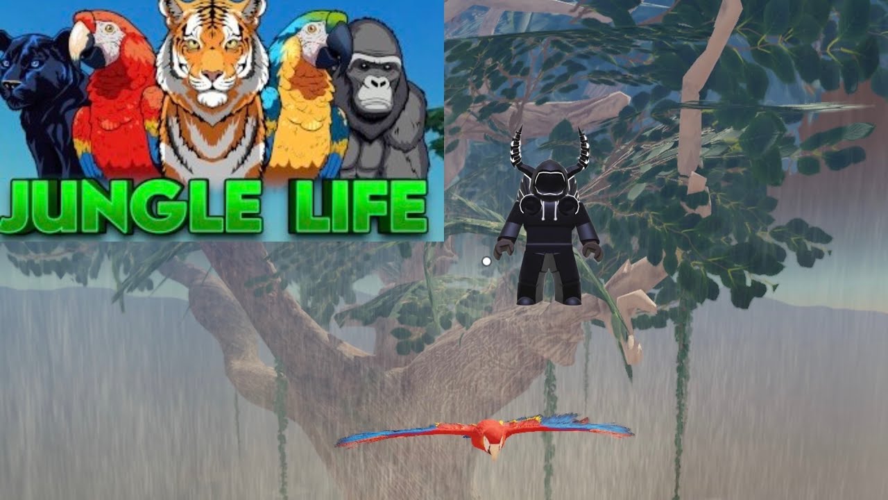 Playing and kosing as the macaw🦜|jungle life roblox|