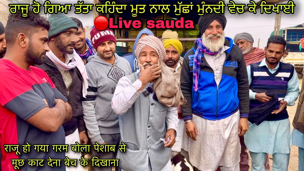 ਰਾਜੂ ਹੋ ਗਿਆ ਤੱਤਾ ਕਹਿੰਦਾ ਮੂਤ ਨਾਲ ਮੁੱਛਾਂ ਮੁੰਨਦੀ ਵੇਚ ਕੇ ਦਿਖਾਈ #live_sauda tungwali Mandi @farmingbaba