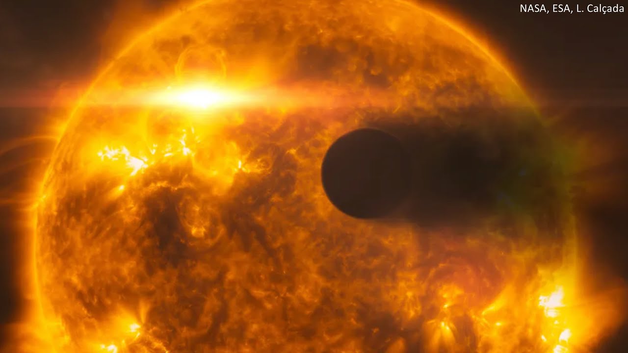Growing up in a rowdy household: a star’s role in shaping the lives of its exoplanets