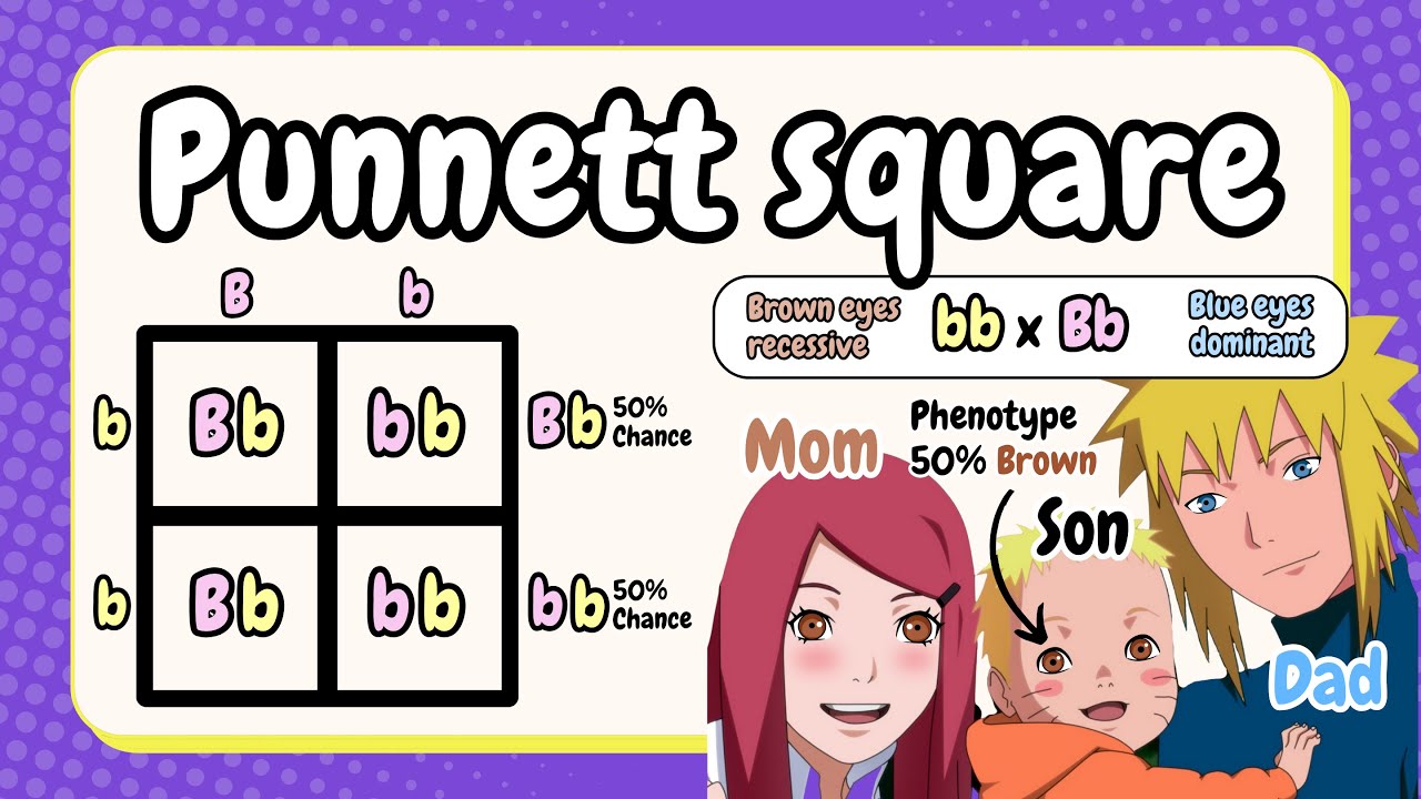 Punnett Squares Made Easy | Genetics Lesson (Naruto Example)
