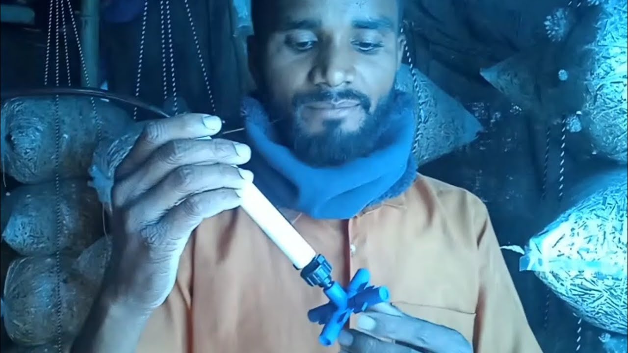 How to install fogger in mushroom shade, full information about mushroom farming #masroom #farming