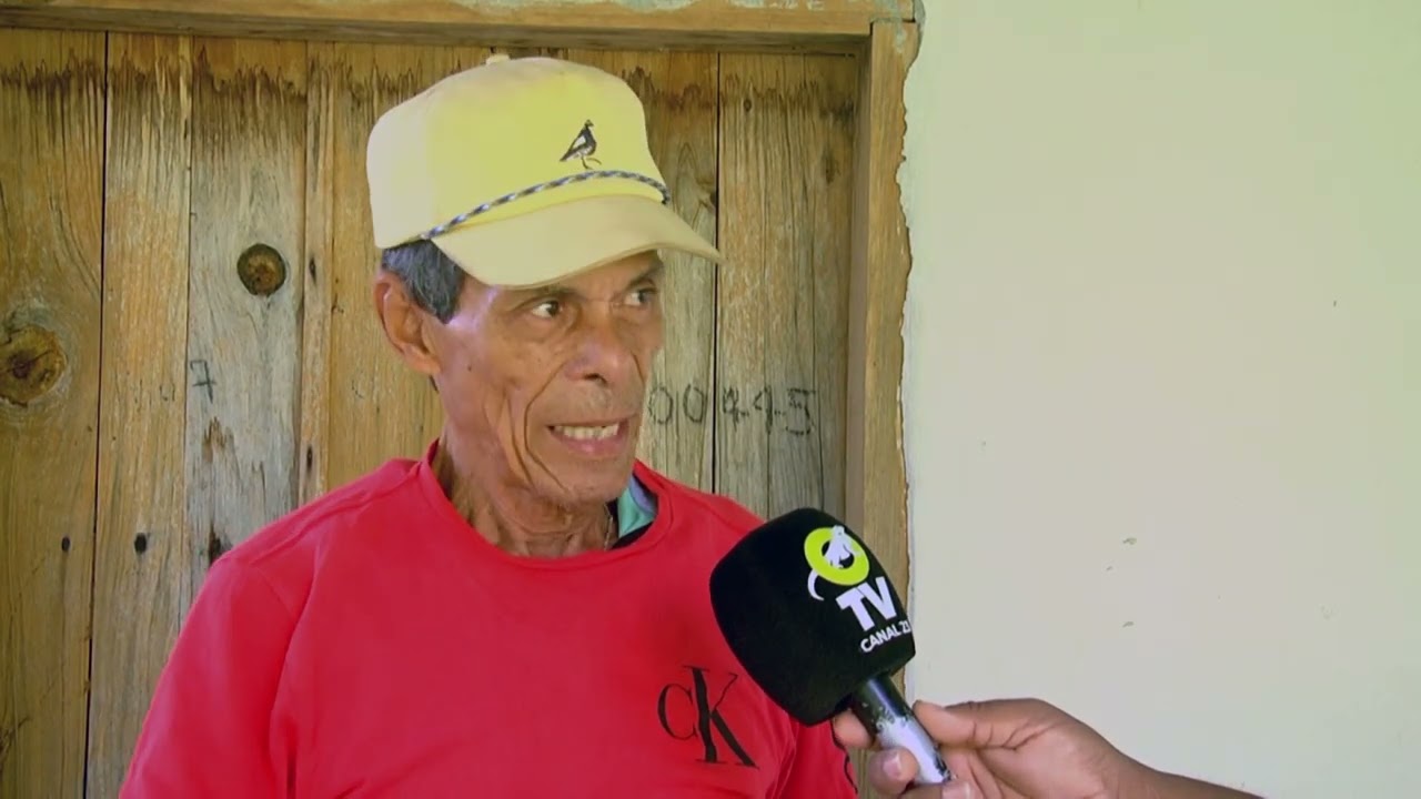 APICULTORES ESPERAN QUE ESTE AÑO LA COSECHA DE MIEL MEJORE
