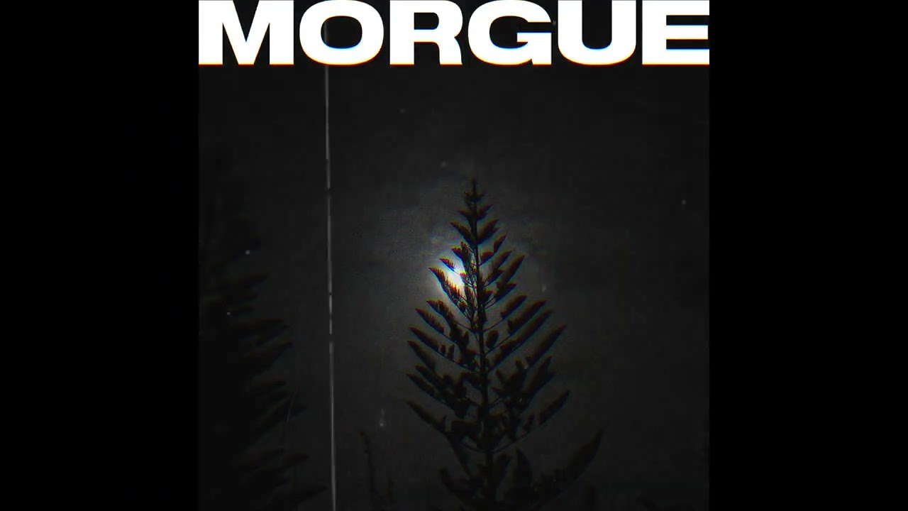 MORGUE | She Past Away, Molchat Doma, Twin Tribes Type Beat