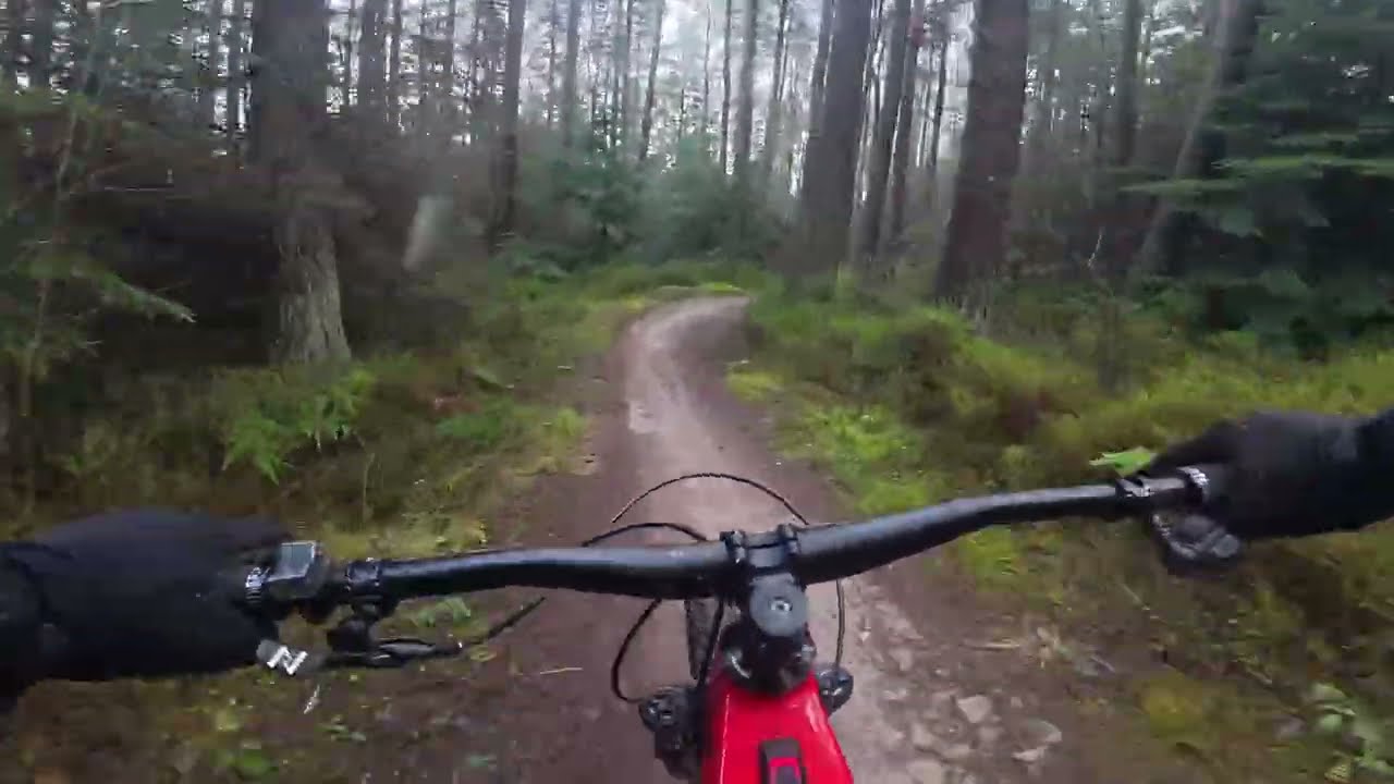 Transmission | Red Trail | Hamsterley Forest | Norco Range VLT A1