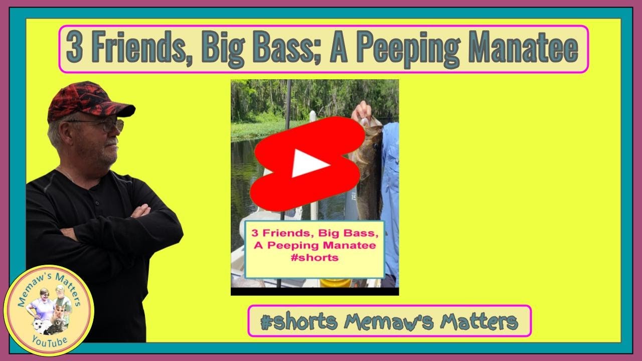 3 Friends, Big Bass, Peeping Manatee #shorts