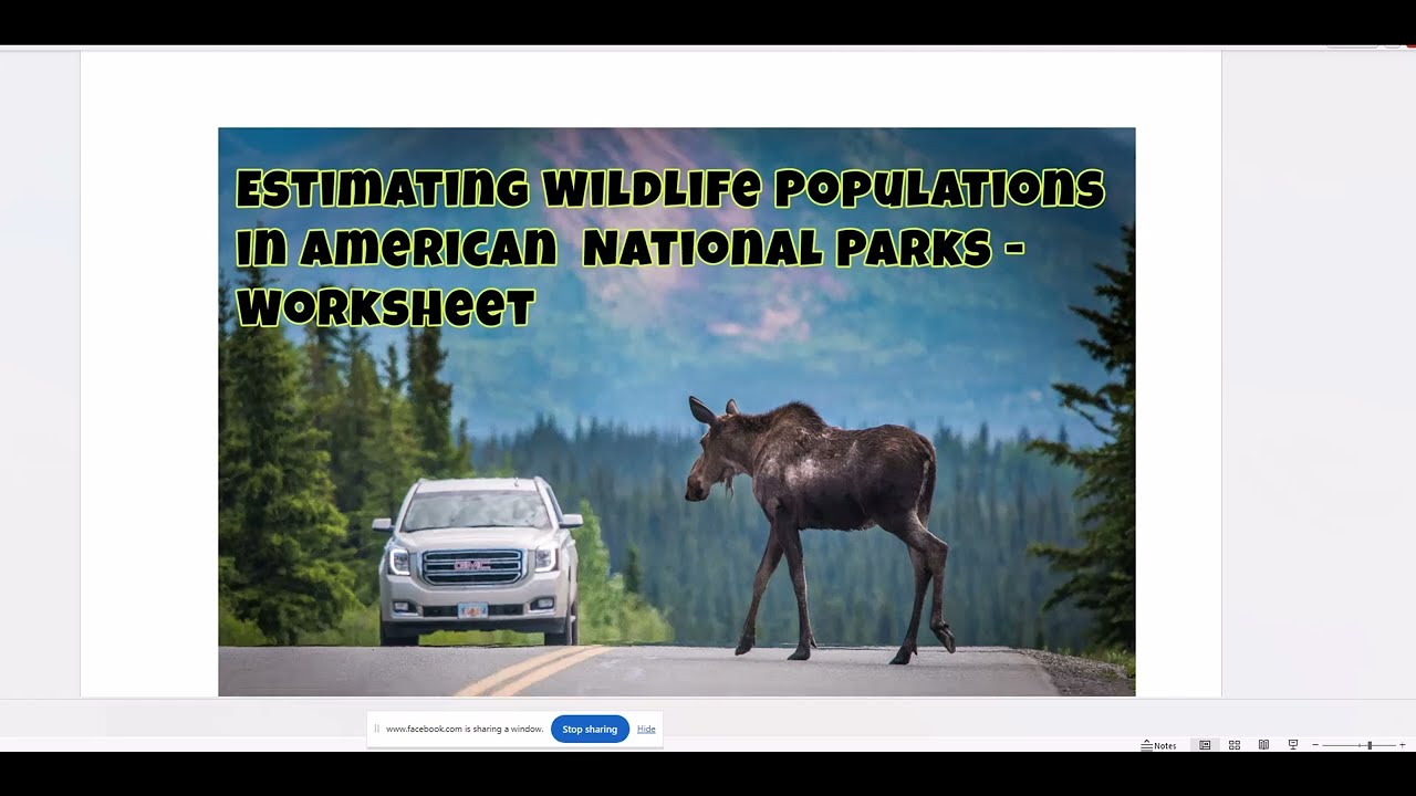 Bring Math to Life with Estimate Animal Populations Worksheet Live Thursday Math Review - 7-18-24