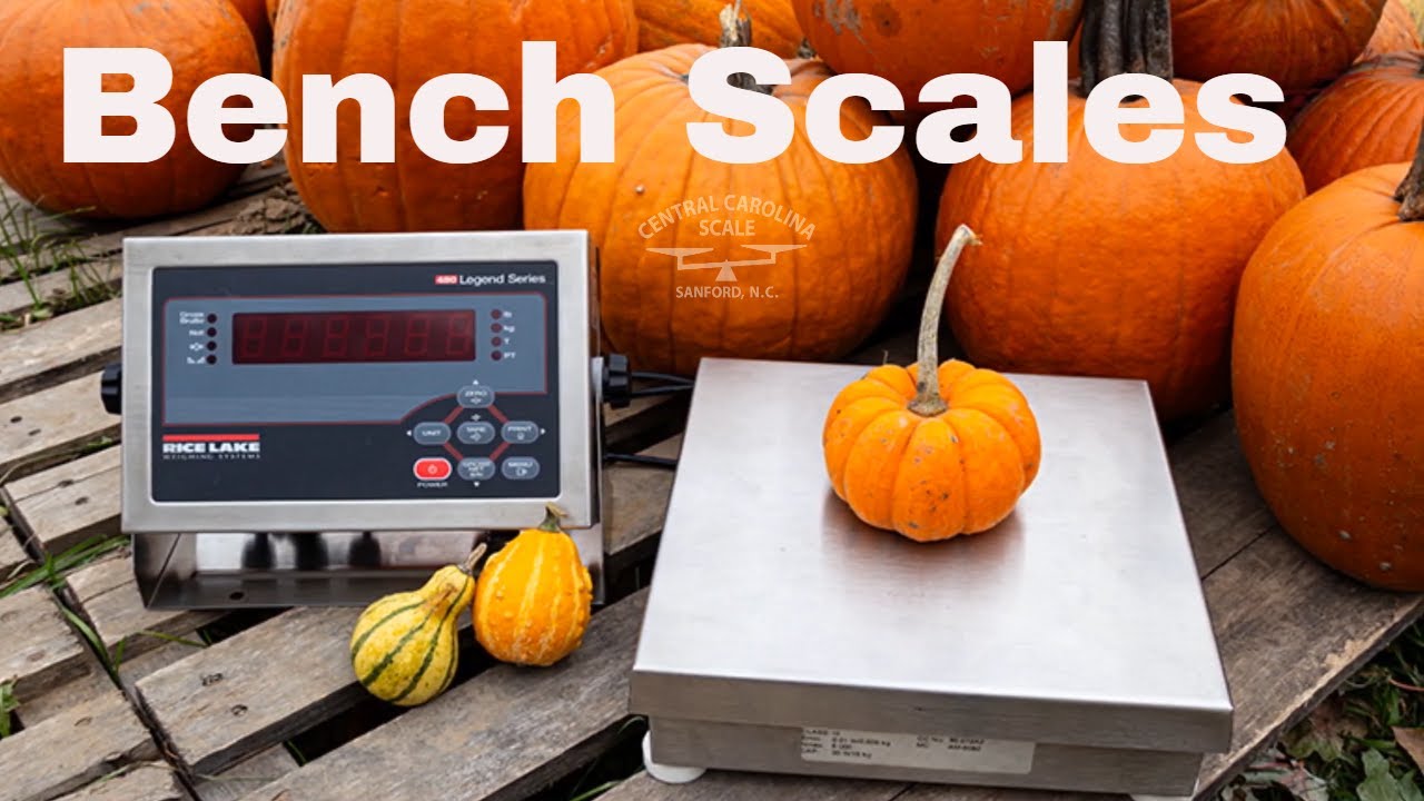How to Choose the Perfect Bench Scale