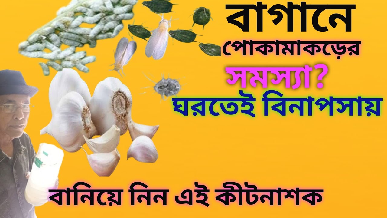 বিষমুক্ত বাগান 👉🏻বাড়িতেই তৈরি করুন জাদুকরী ঘরোয়া কীটনাশক।organicpesticides/ricewaterspray