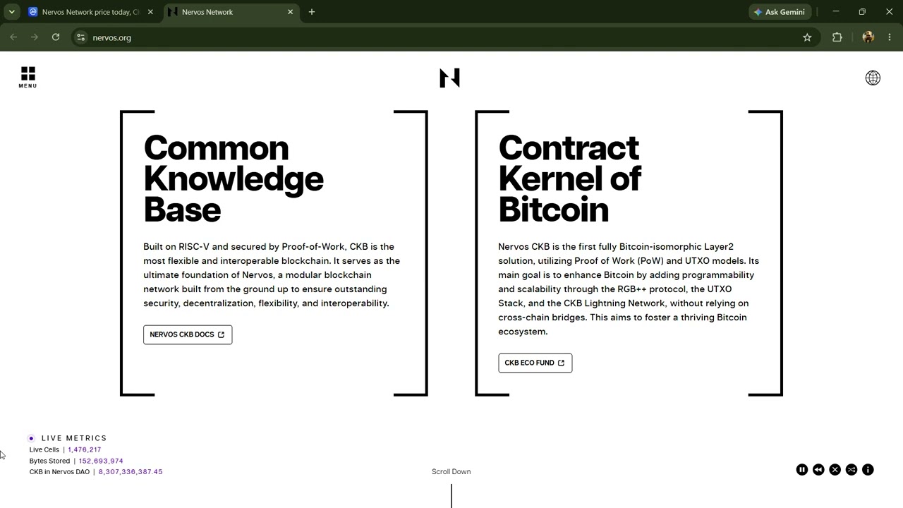 O projekcie Nervos Network ($CKB)!!