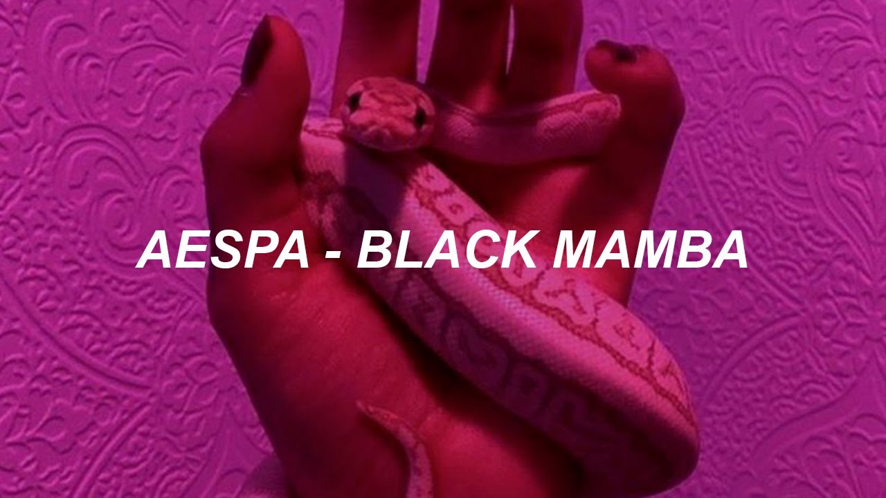 aespa 에스파 'Black Mamba' Easy Lyrics