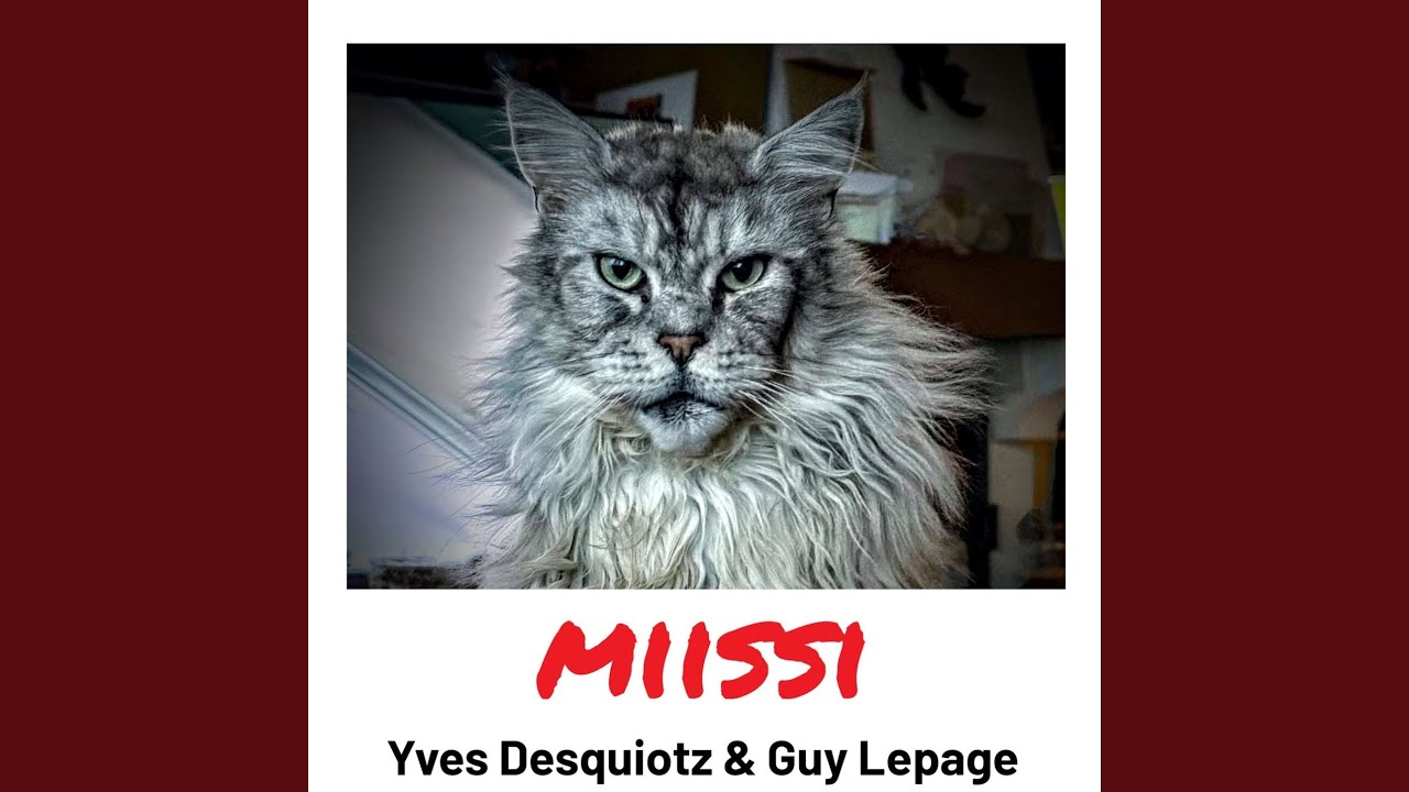 Miissi