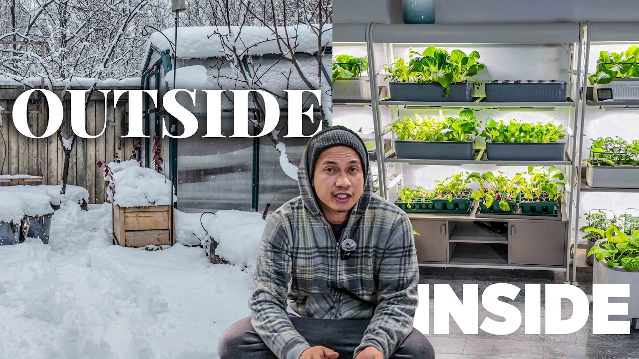 Winter Tried To Stop Me. So I Brought The Garden Inside!