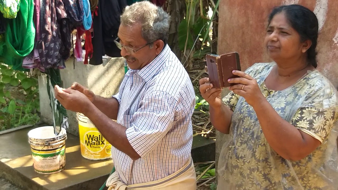 ആന വെള്ളം കുടിക്കാൻ വീട്ടിൽ കയറിയപ്പോൾതാമരക്കുടി വിജയൻ ആന വെള്ളം കുടിക്കാൻ Thamarakudy vijayan