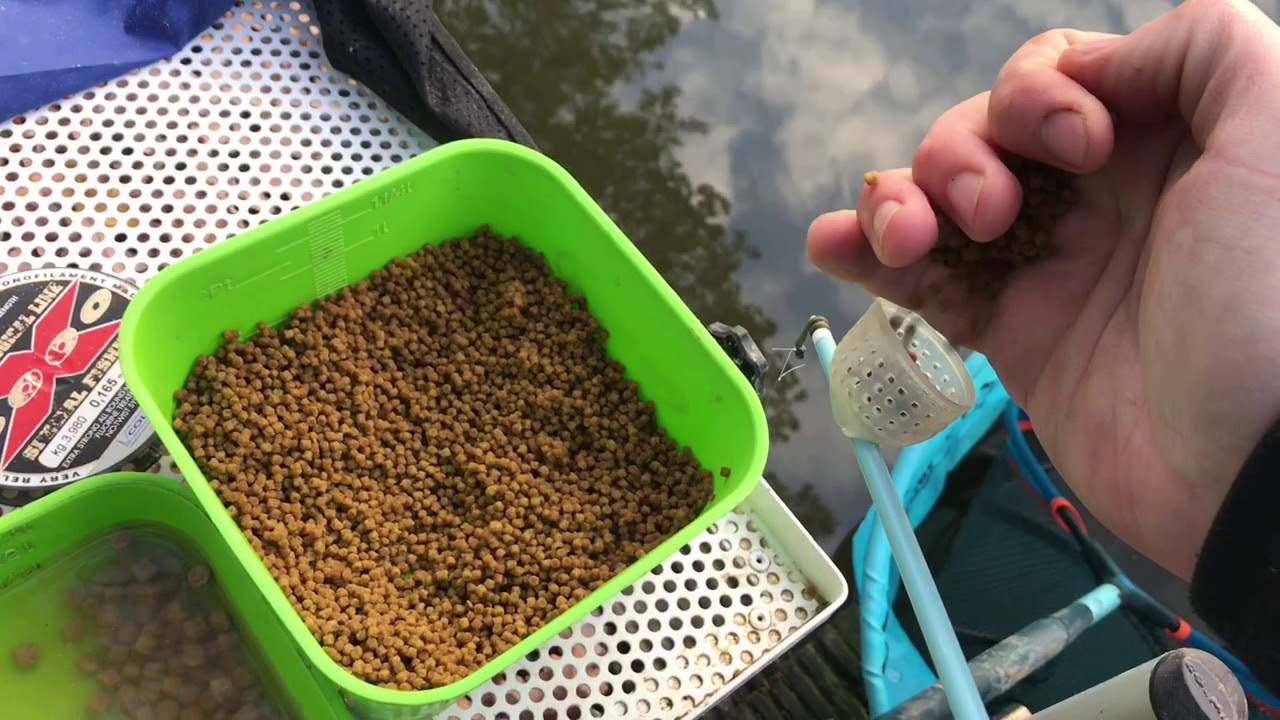 Winterfishing on pellets!!!
