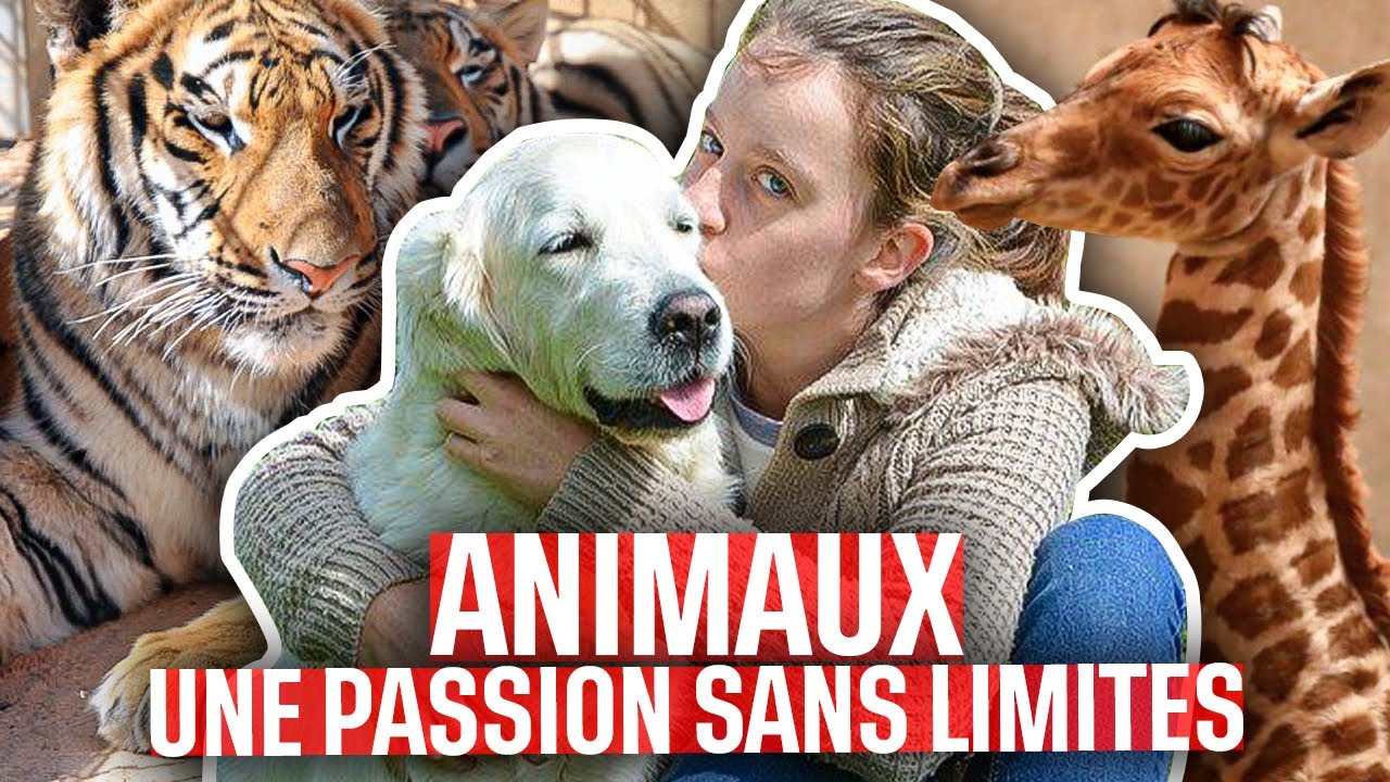 Animaux, une passion sans limites