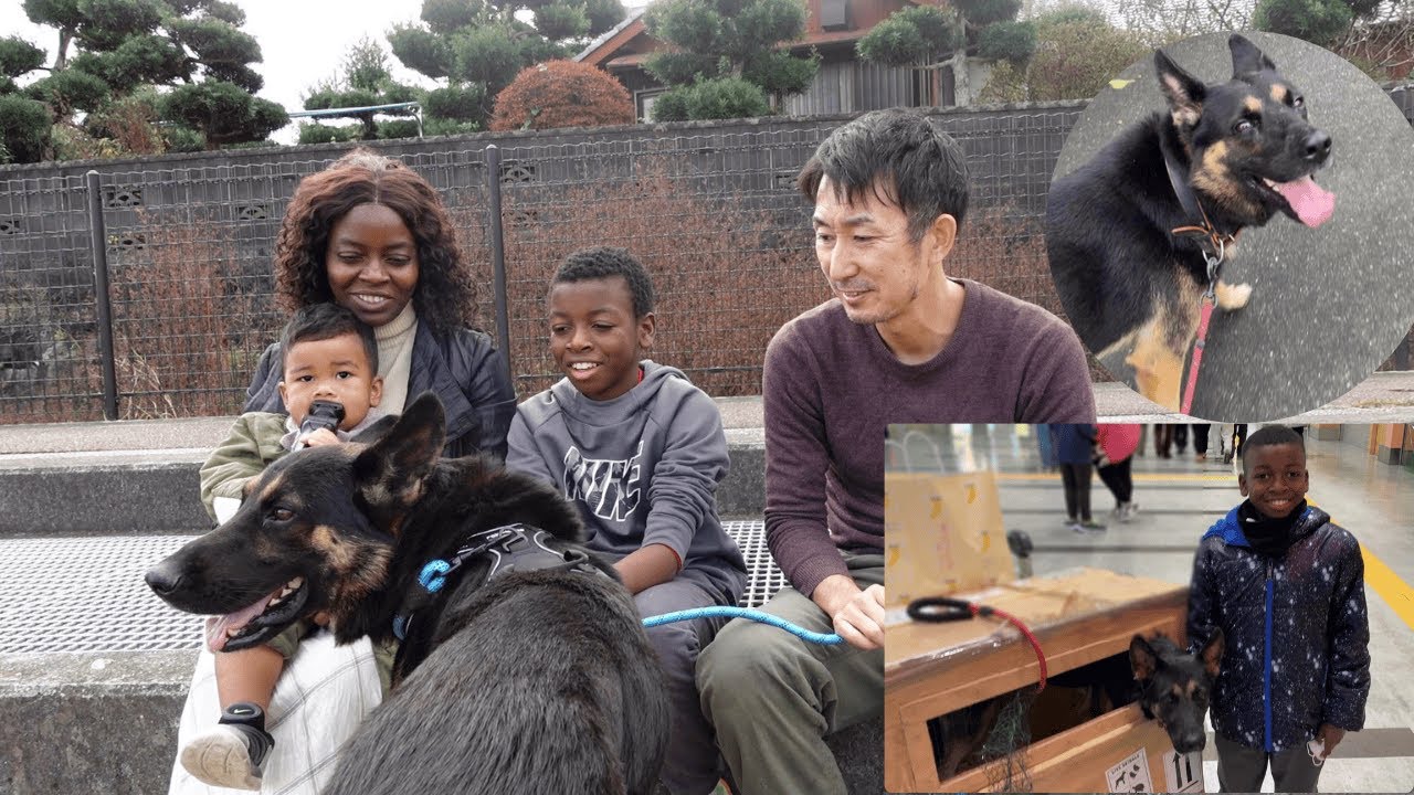 【2年ぶりの再会】アフリカ・マラウイで飼っていた愛犬が日本にやって来ました！
