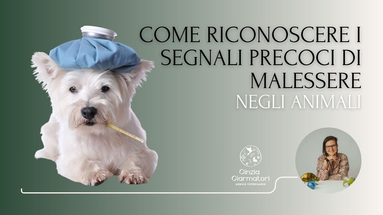 Come riconoscere i segnali precoci di malessere negli animali
