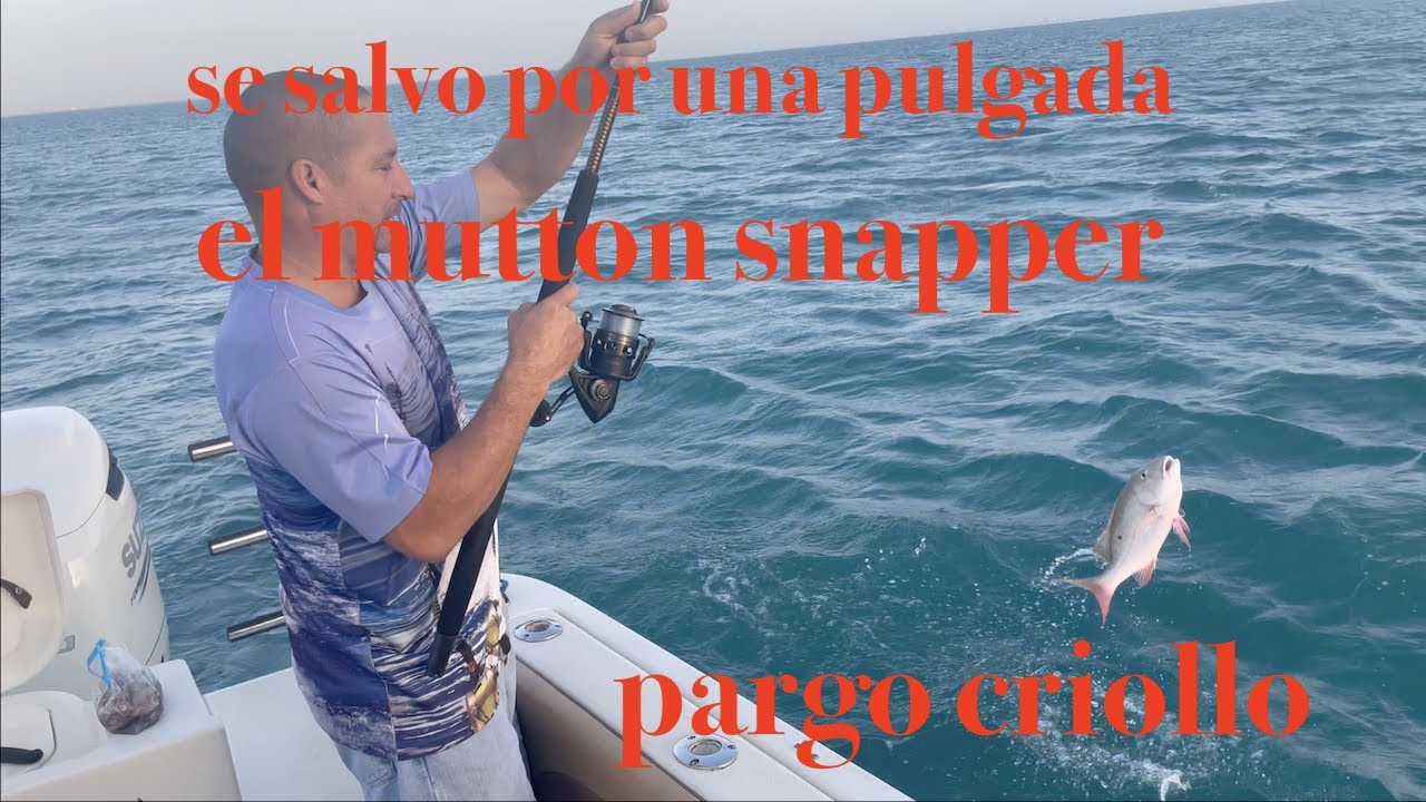 🛥🎣🎣weekend 🎣🎣en ⚓️🐟boca 🌴chita🏝EP-244