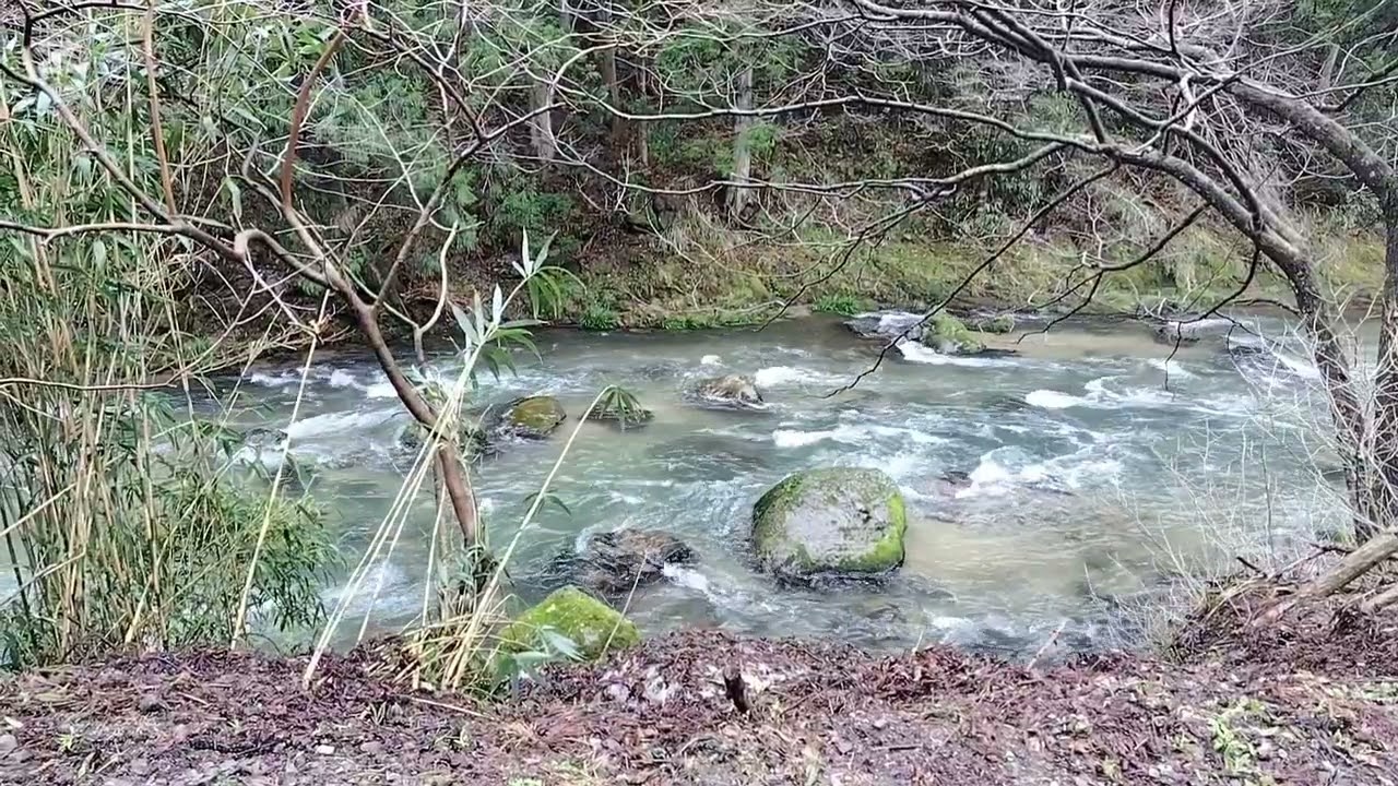 Spring Melt on the Iragawa River | 春の雪解け 五十川の清流