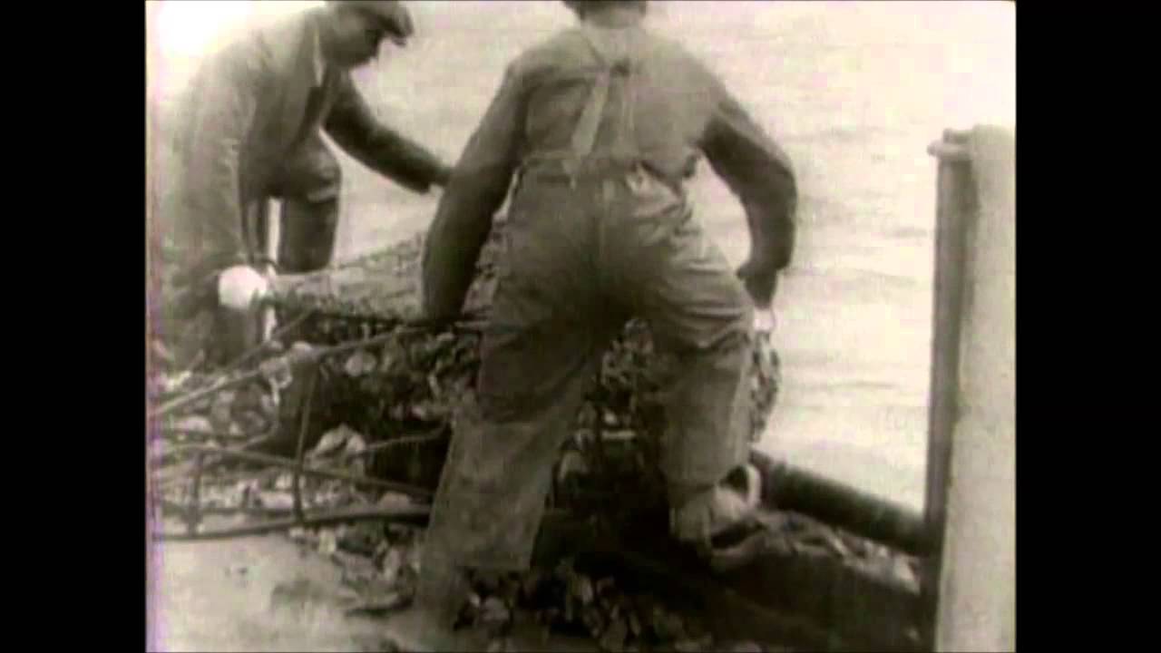 Urbanna Working On The River