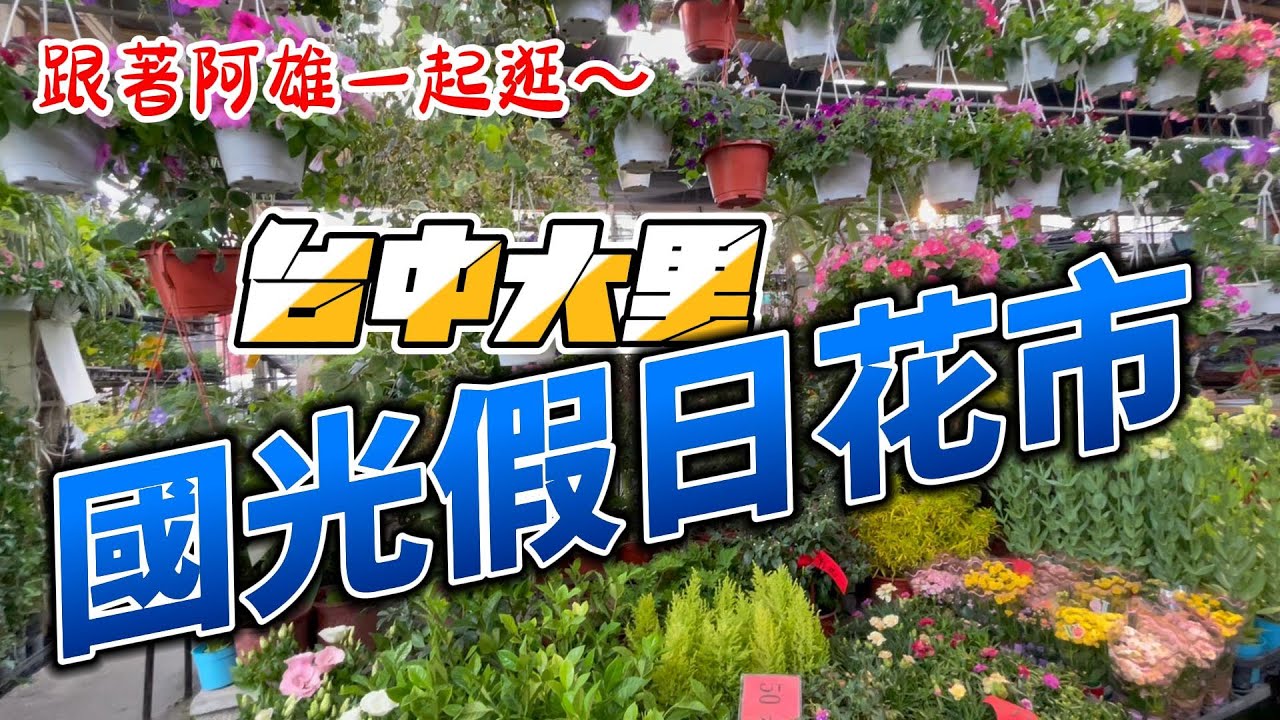 跟著阿雄一起逛~ 國光假日花市