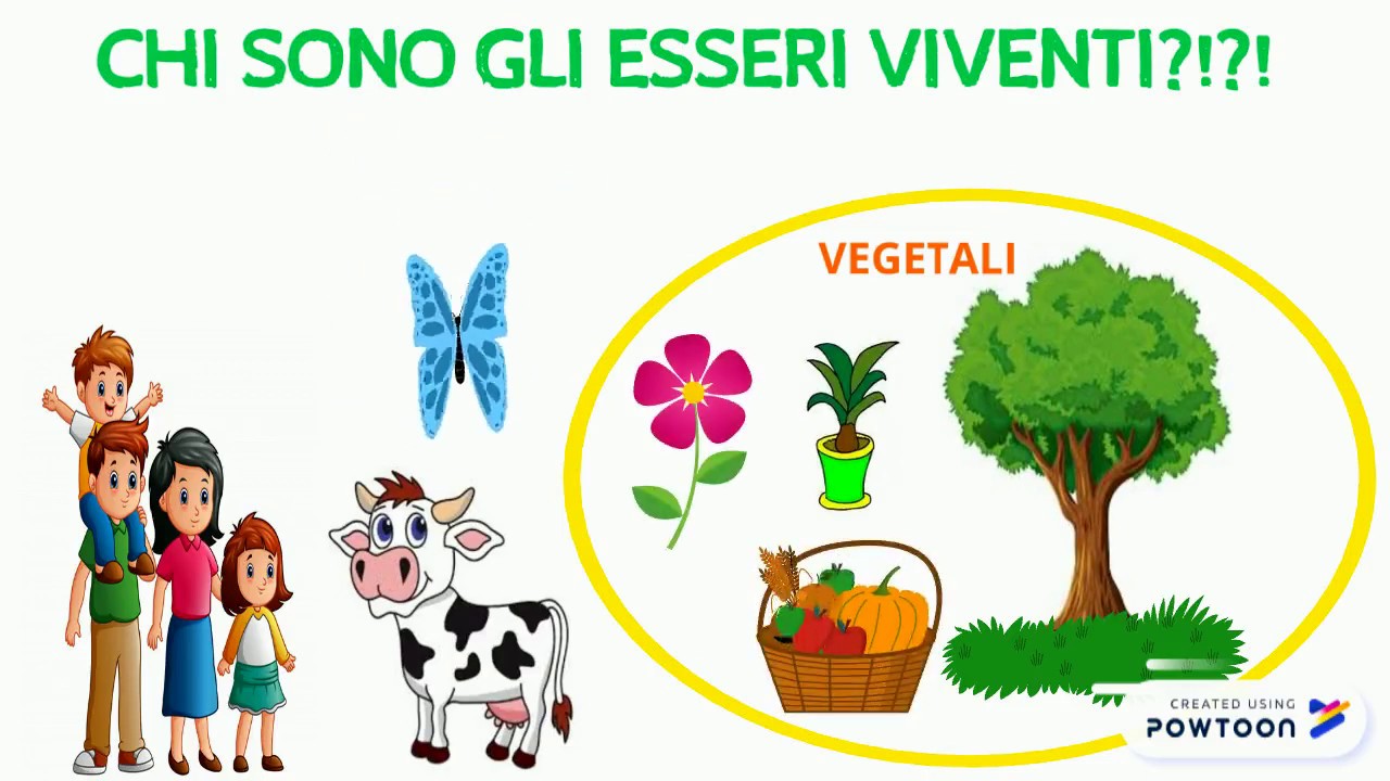 GLI ESSERI VIVENTI E NON VIVENTI