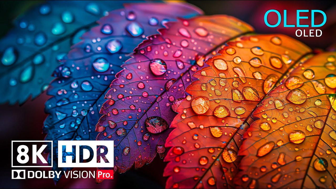 Best of 8K Video - 8K HDR ULTRA HD 120 fps - Dolby Vision