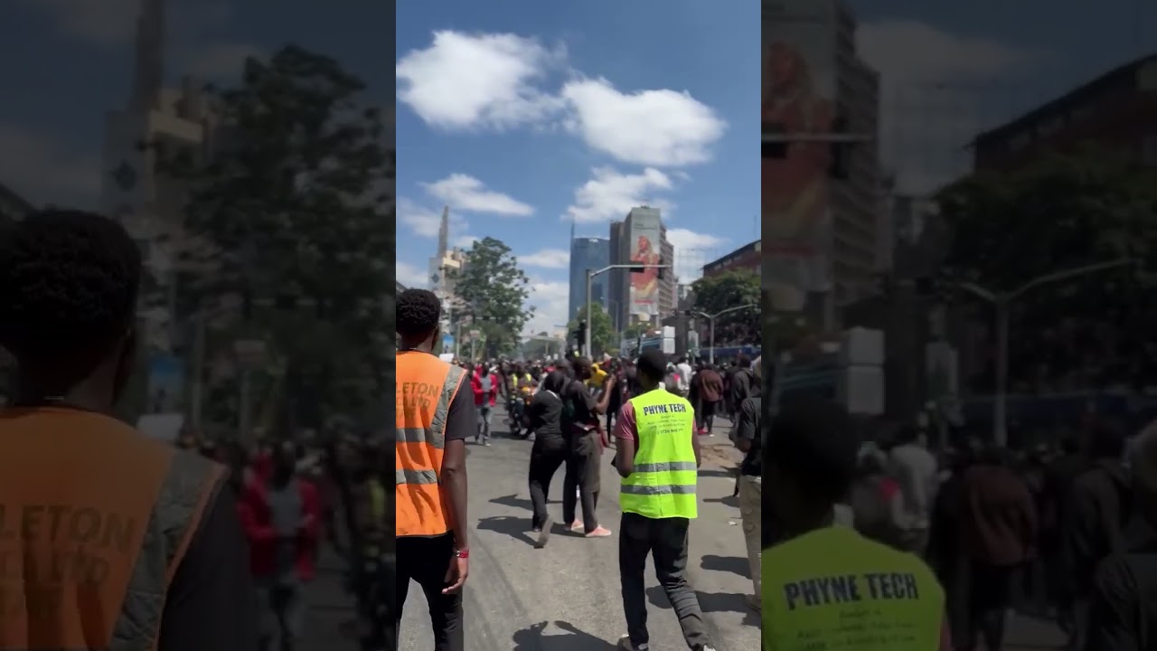 People Are Speaking, Government Listened #2024 #kenya #nairobi #demos