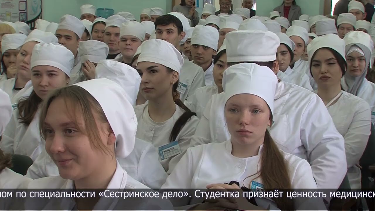 Трудоустройство выпускников медколледжа: встреча с практикующими врачами