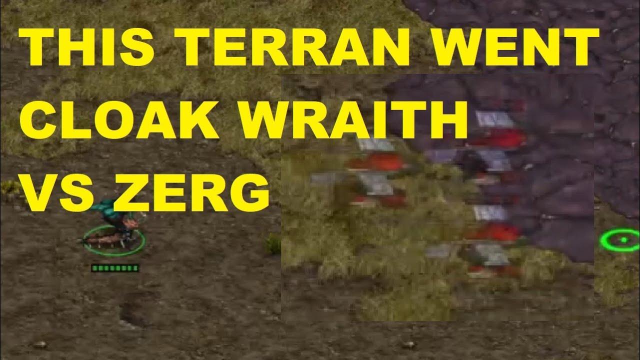TERRAN WENT CLOAK WRAITH VS ZERG