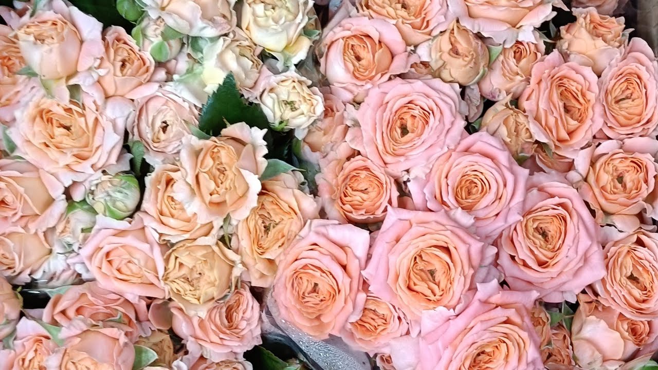 Tagir  Flowers 🌸 в прямом эфире!