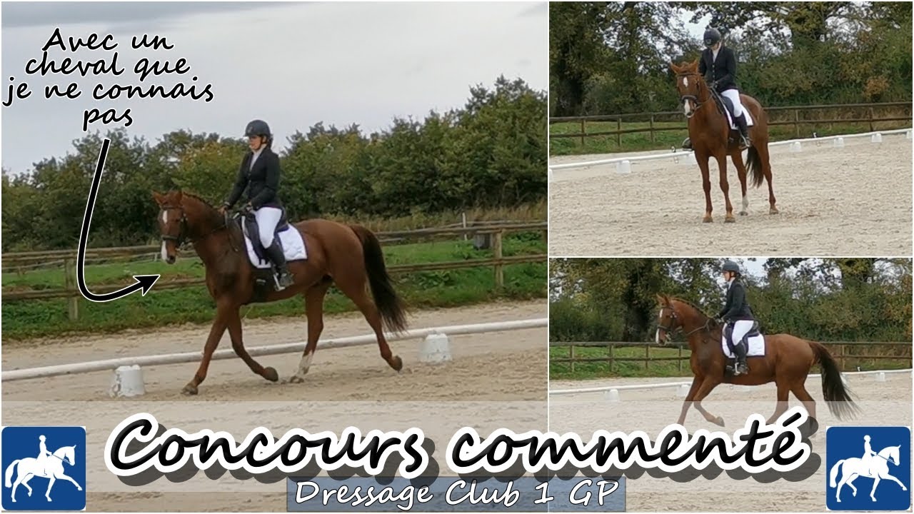 [Concours commenté] Dressage Club 1 GP