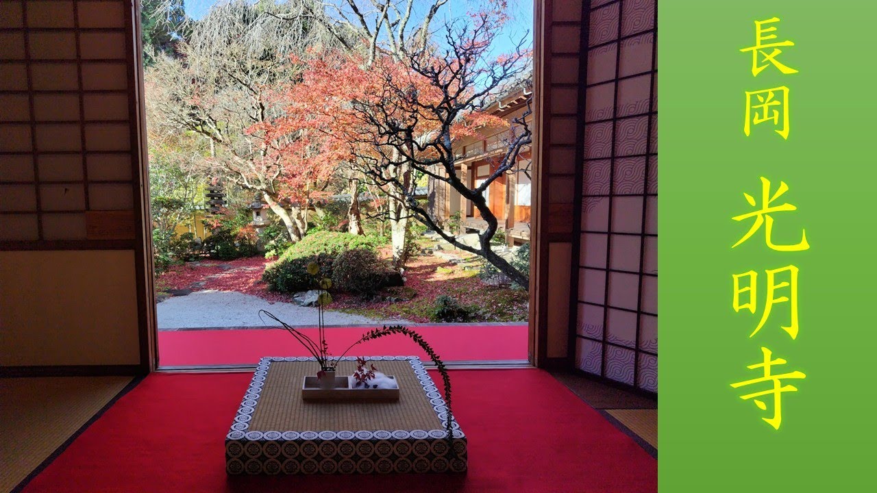 【旅ログ】秋の京都 長岡京「光明寺」