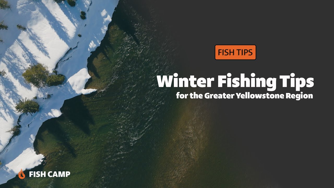 Tips for Winter Fly Fishing in the Greater Yellowstone Region