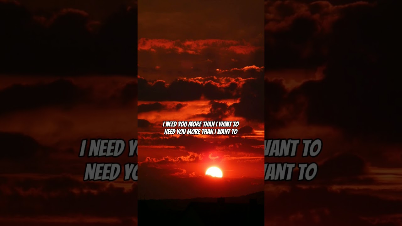 Shameless ( super sped up ) | 7 LYRICS | #lyrics#7lyrics#shameless#song#spedup