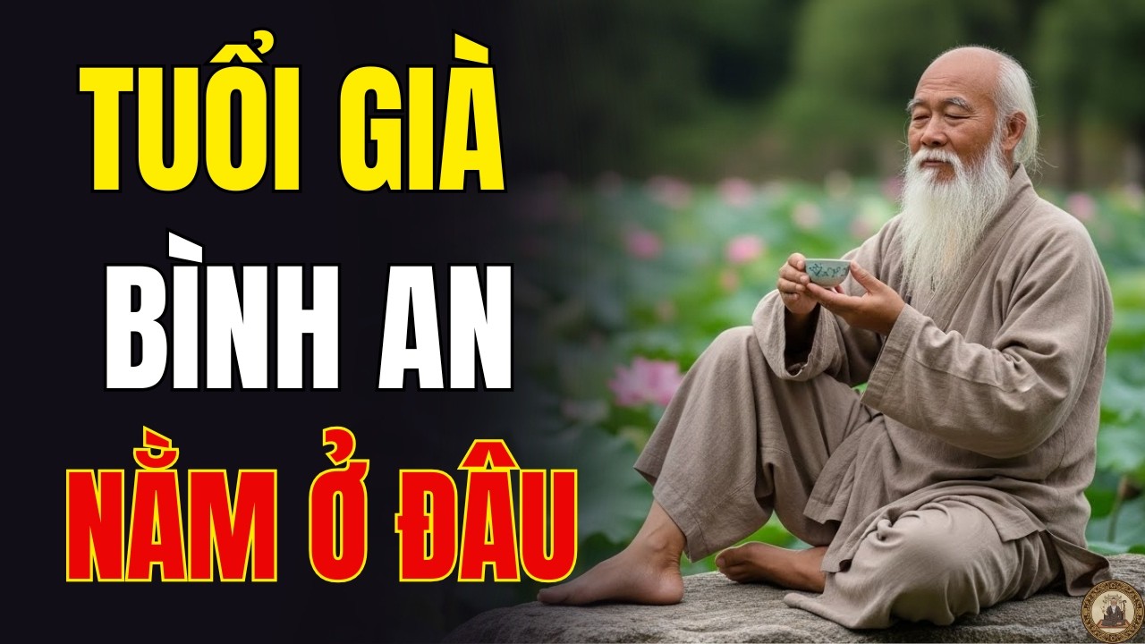 Cao Nhân Nói Gì Về Tuổi Già Bình An Khi Danh Lợi Đã Ở Lại Phía Sau