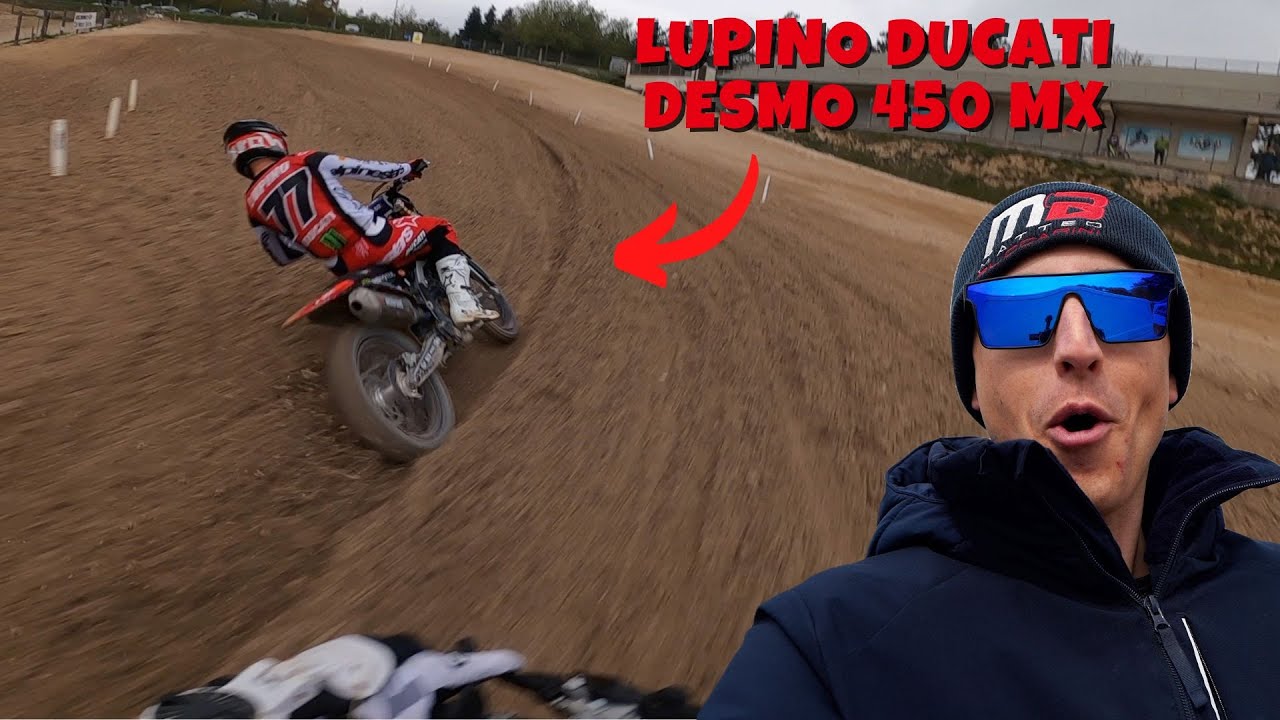 SVERNICIATO DA LUPINO A CINGOLI 🤯