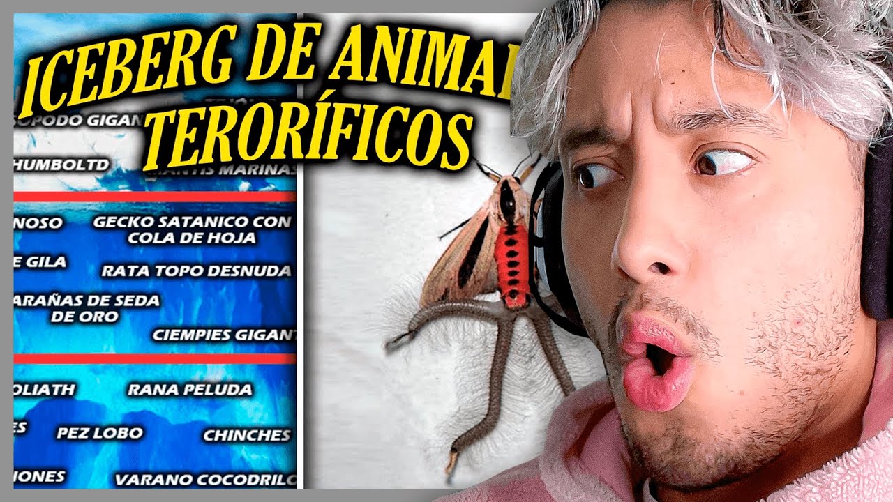 MAAU REACCIONA A ICEBERG DE ANIMALES PELIGROSOS 😵